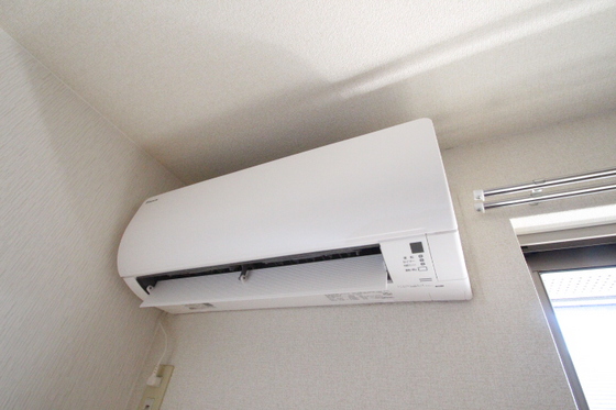 ペアフィールド B