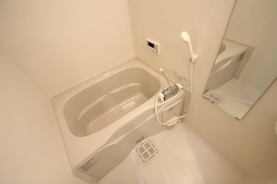 リフレスロイヤルシティⅢ