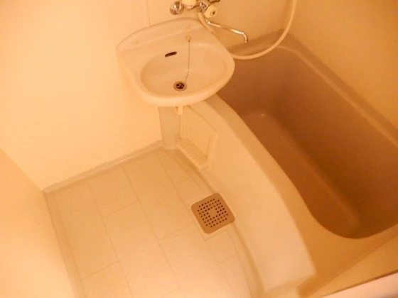 ティアラサイワ