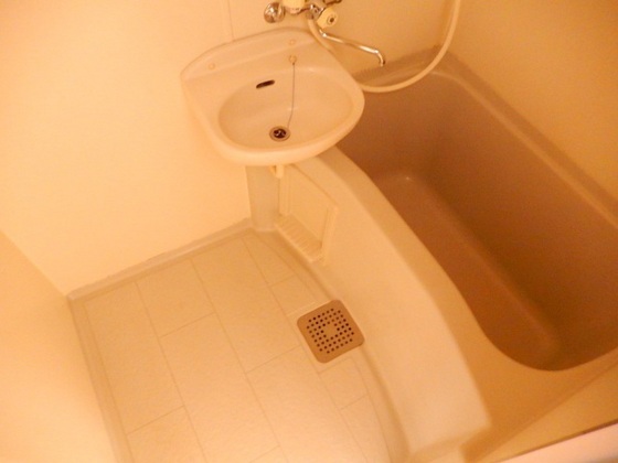 ティアラサイワ