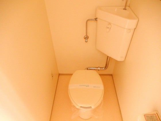 ティアラサイワ