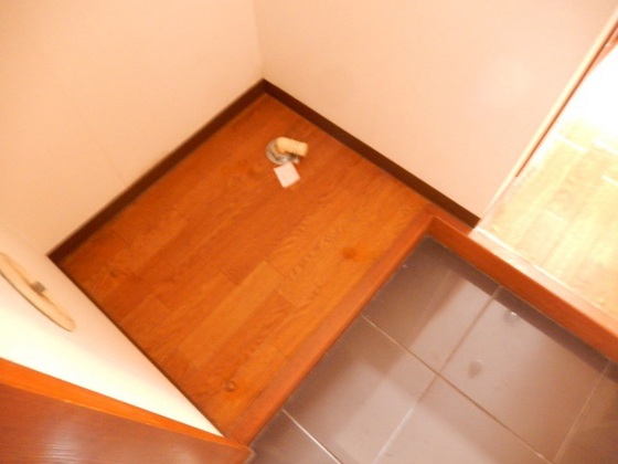 ティアラサイワ