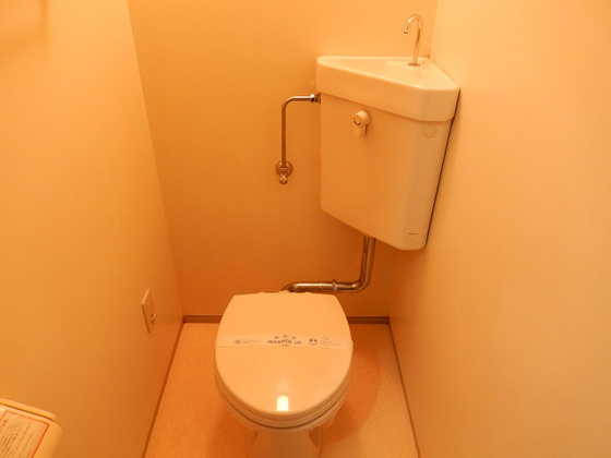 ティアラサイワ