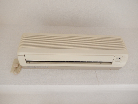 ティアラサイワ