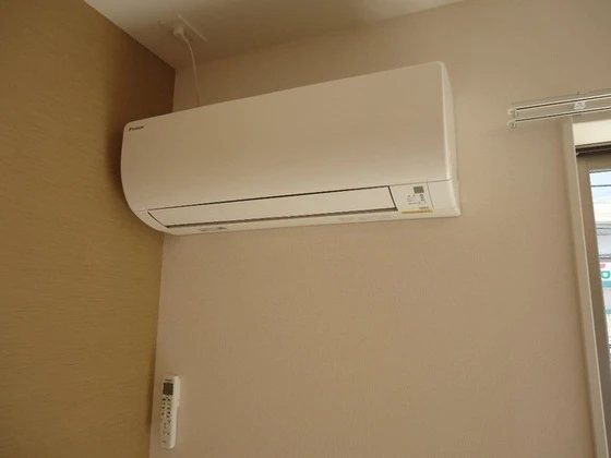 シェルルききょう