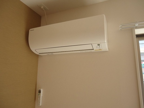 シェルルききょう