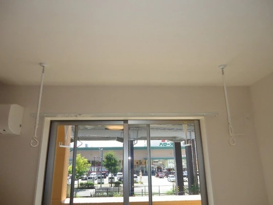 シェルルききょう