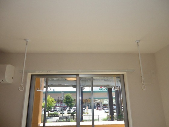 シェルルききょう