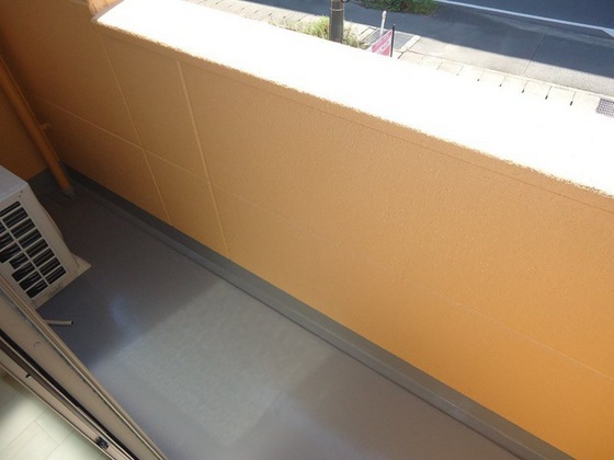 シェルルききょう