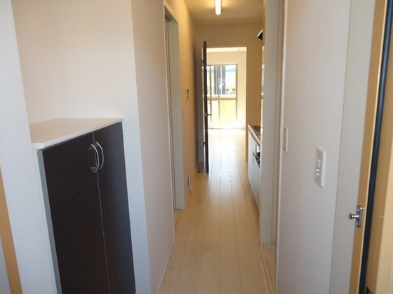 シェルルききょう