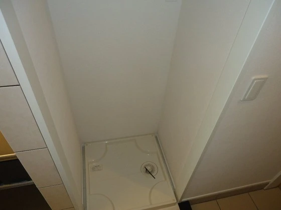 シェルルききょう