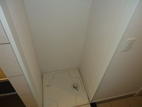 シェルルききょう