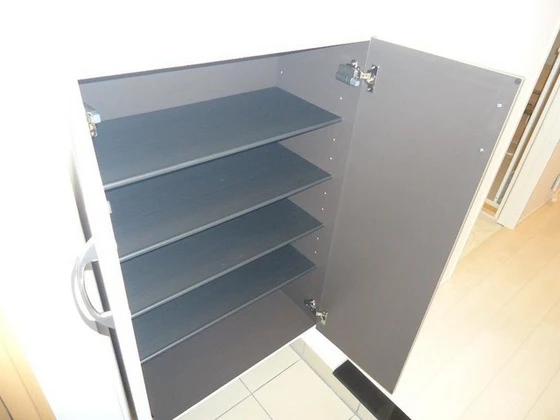 シェルルききょう