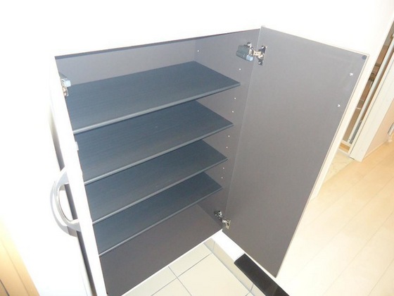 シェルルききょう