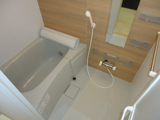 シェルルききょう