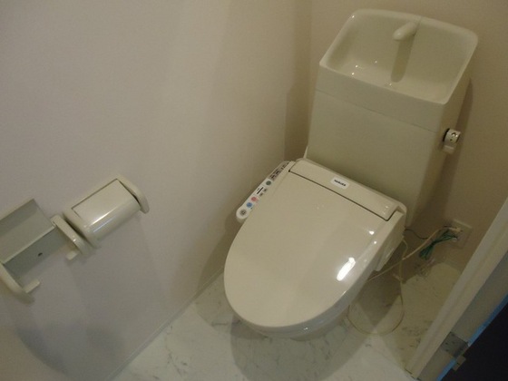 シェルルききょう