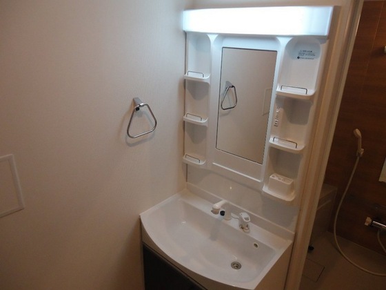 シェルルききょう