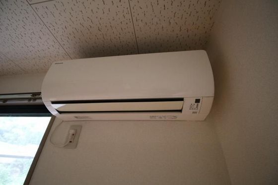 アルトハイデⅡ