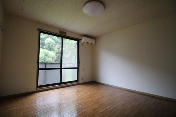 アルトハイデⅡ