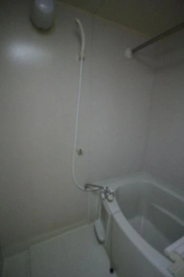 アルトハイデⅡ