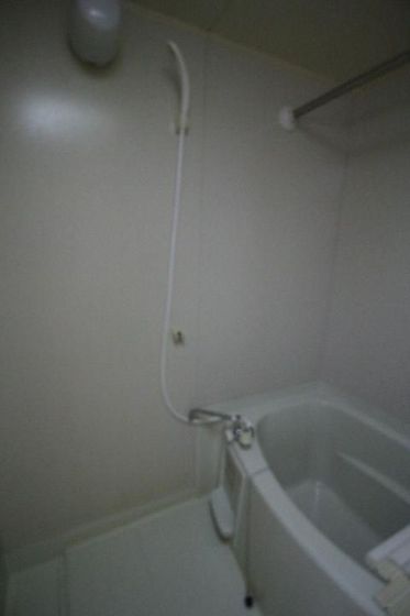 アルトハイデⅡ