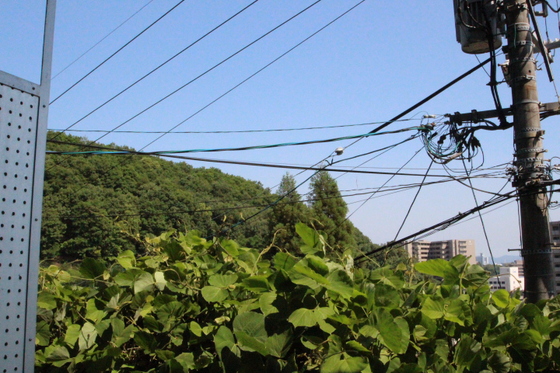 ウェーブレジデンス津島