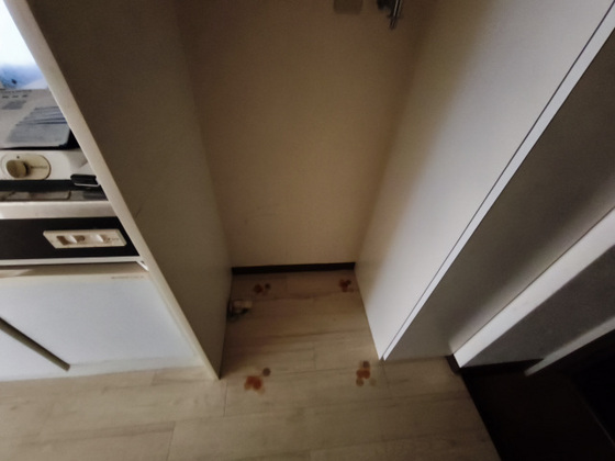 シャインブライト北方