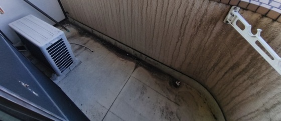 シャインブライト北方