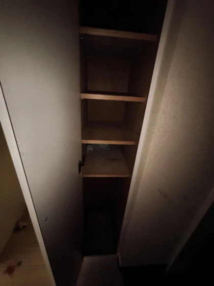 シャインブライト北方