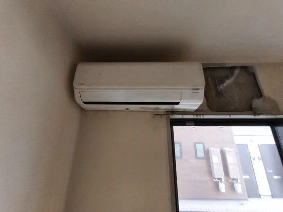 シャインブライト北方