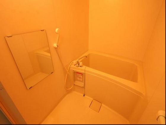 パルフィオーレF