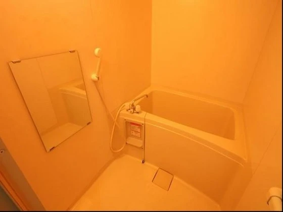 パルフィオーレF