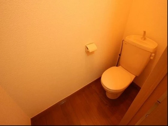 パルフィオーレF