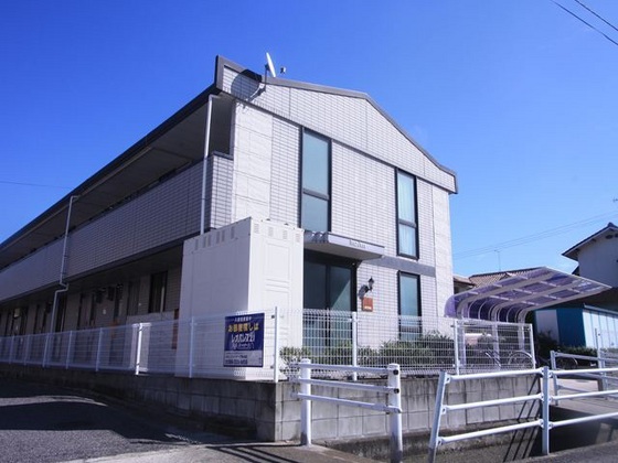 パルフィオーレF