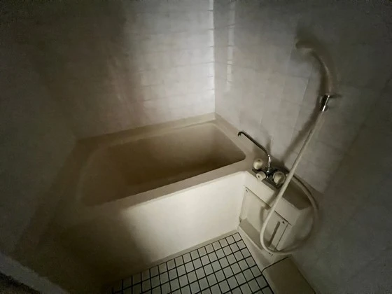 ダイアパレス東白島