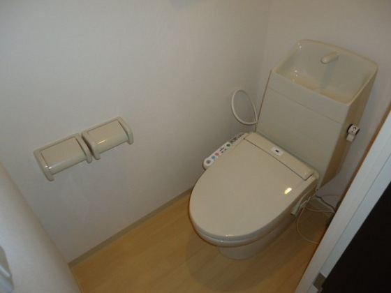 シャイン・ヴェルジェ