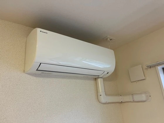 シャイン・ヴェルジェ