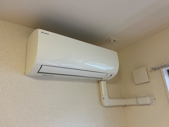 シャイン・ヴェルジェ