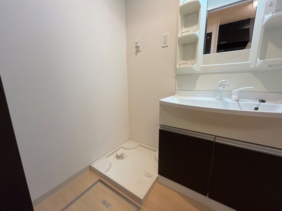 シャイン・ヴェルジェ