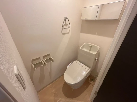 シャイン・ヴェルジェ