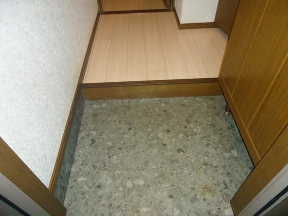 プロニティ マイス