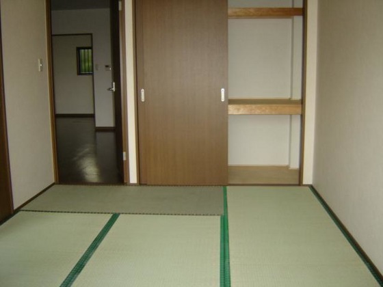 プロニティ マイス