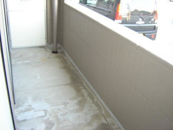 プロニティ マイス