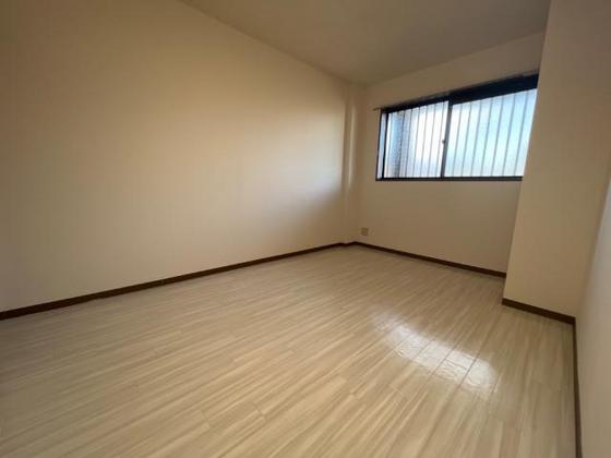 プロニティ マイス