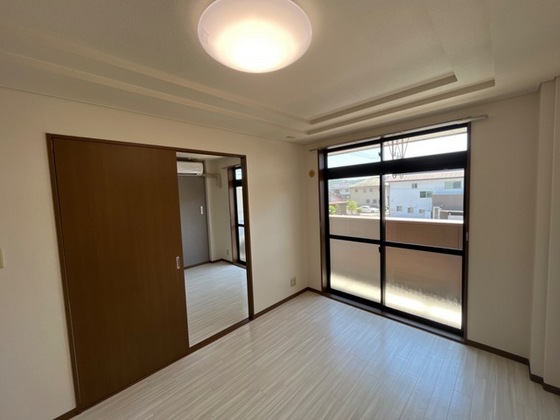 プロニティ マイス