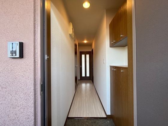 プロニティ マイス