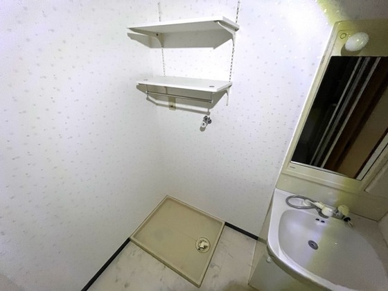 プロニティ マイス