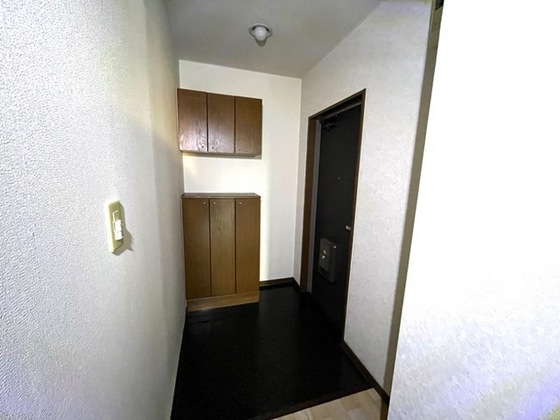 プロニティ マイス