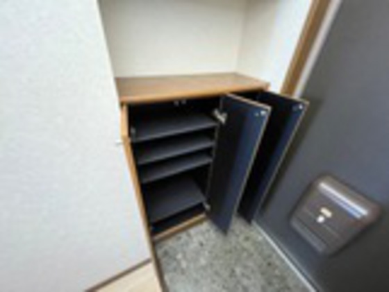 プロニティ マイス