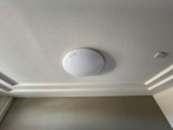 プロニティ マイス